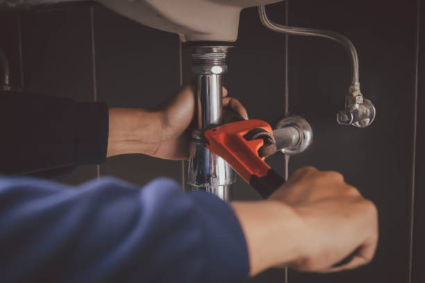 Best Residential Plumbing Services  in La Porte, IN