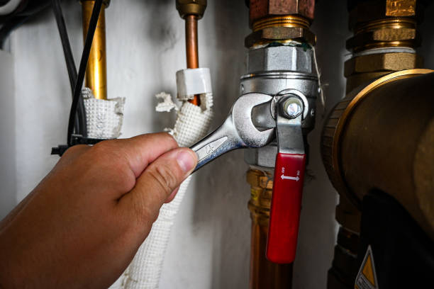 Best Affordable Plumbing Services  in La Porte, IN